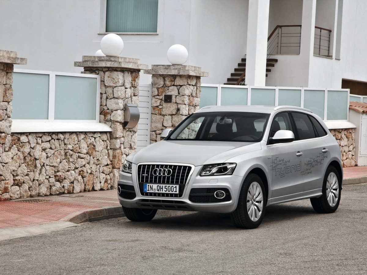 Audi Q5 Hybrid quattro фото 84537