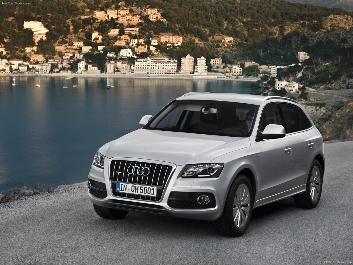 Audi Q5 Hybrid quattro фото 84538