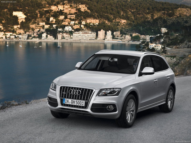 Audi Q5 Hybrid quattro фото
