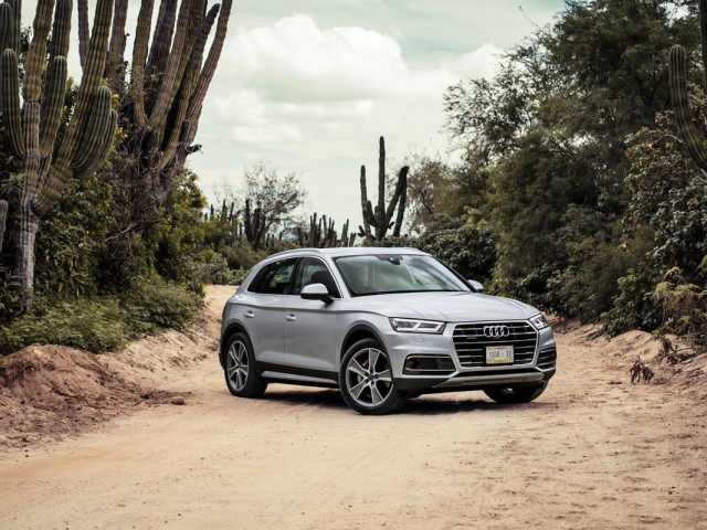 Audi Q5 фото