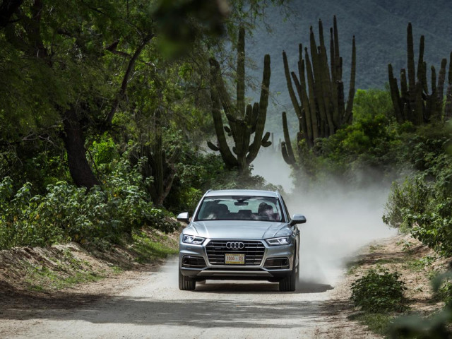 Audi Q5 фото
