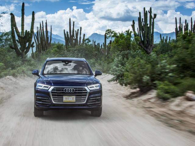 Audi Q5 фото