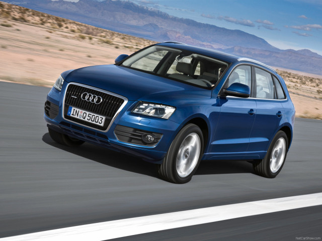 Audi Q5 фото