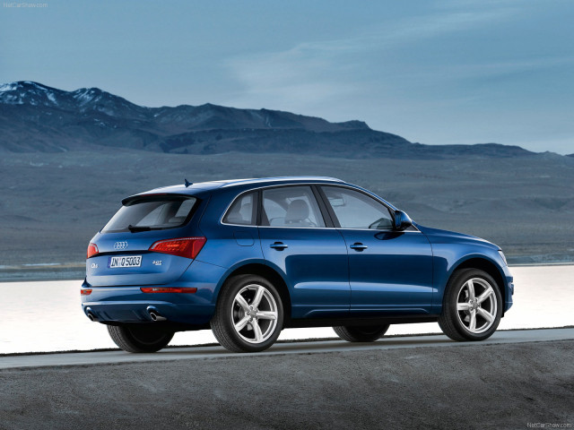 Audi Q5 фото