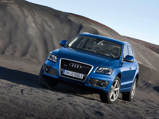 Audi Q5 фото