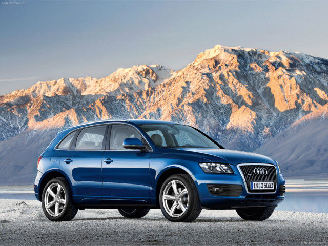 Audi Q5 фото