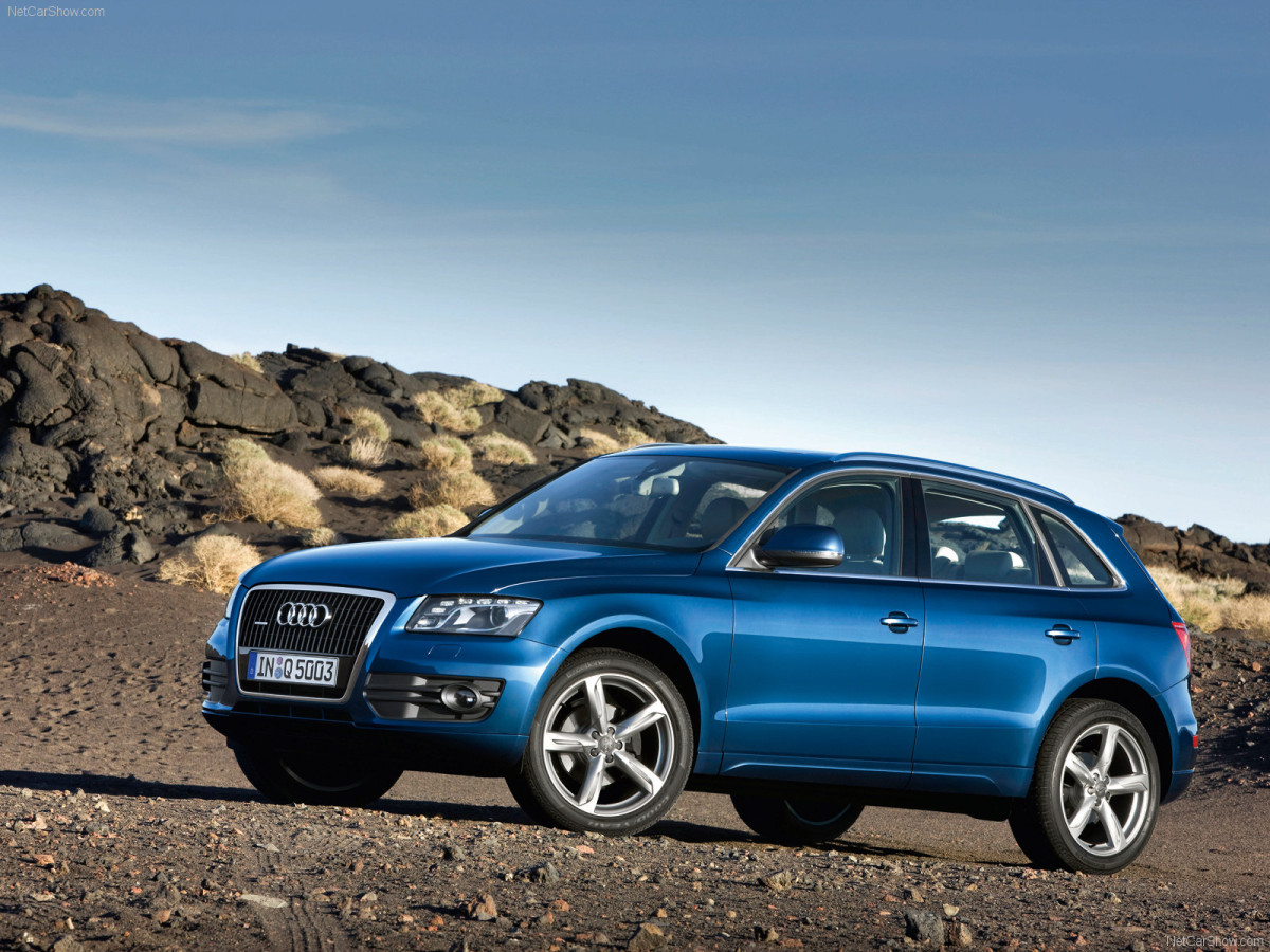 Audi Q5 фото 54593