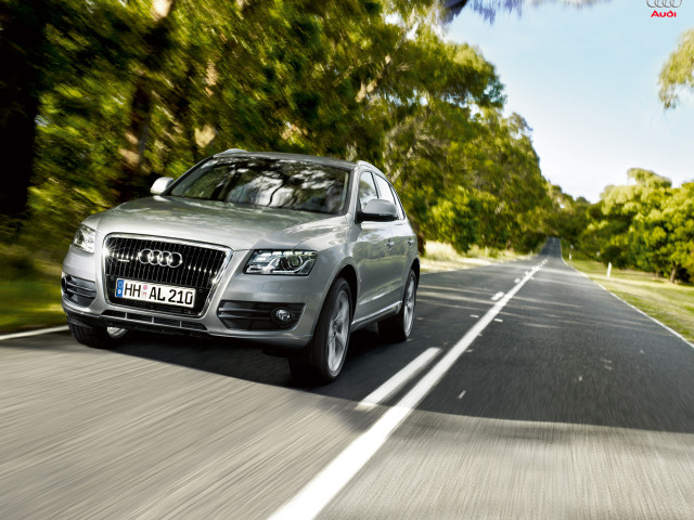 Audi Q5 фото