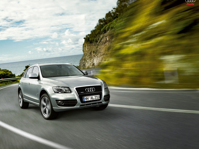 Audi Q5 фото