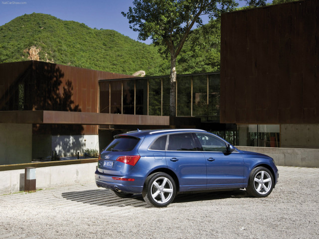 Audi Q5 фото