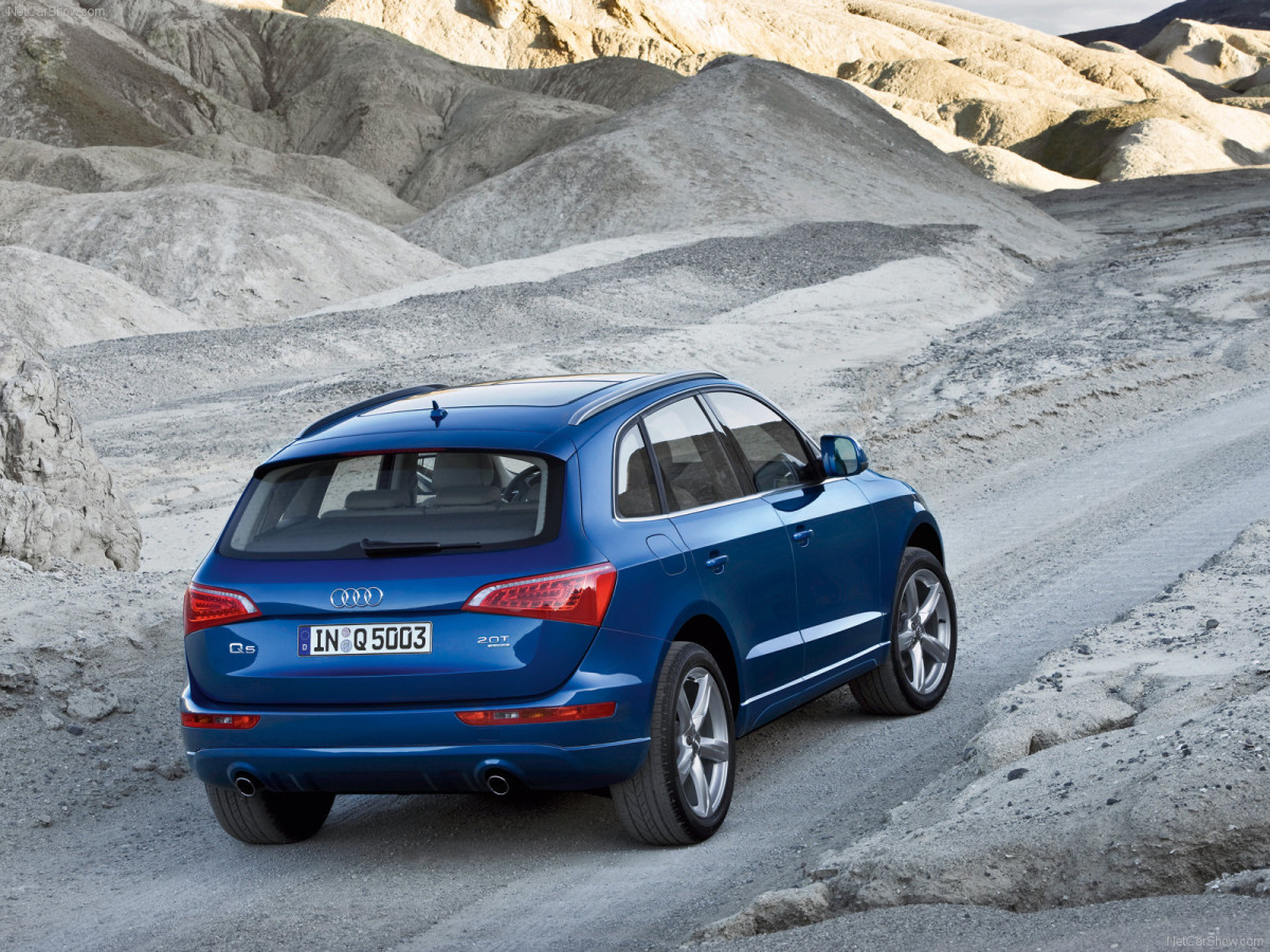 Audi Q5 фото 56884