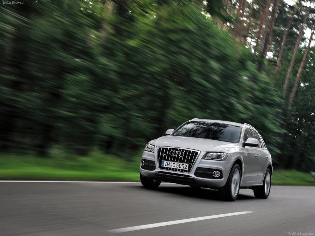 Audi Q5 фото