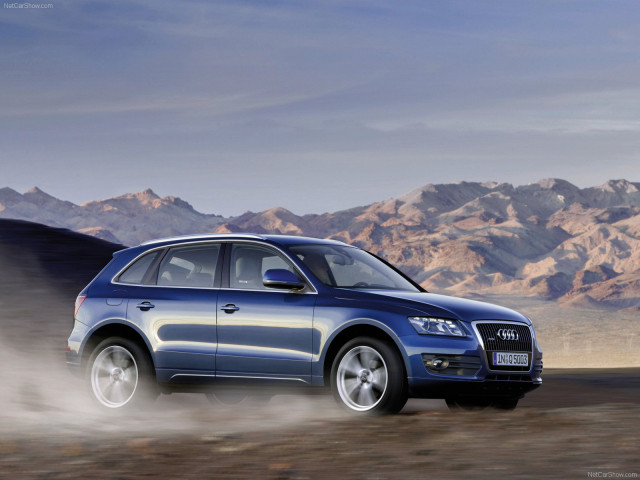 Audi Q5 фото