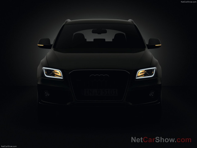 Audi Q5 фото