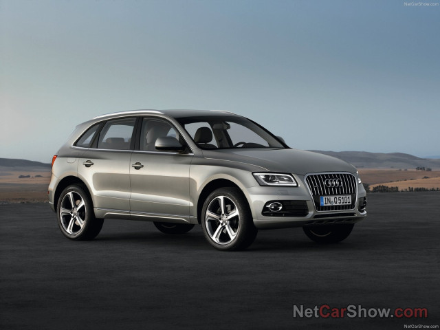 Audi Q5 фото