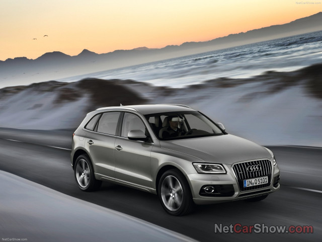 Audi Q5 фото