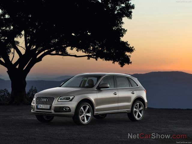 Audi Q5 фото