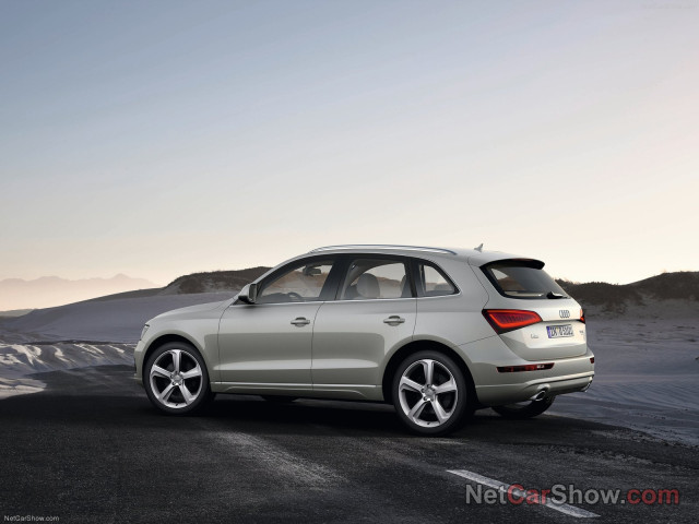 Audi Q5 фото