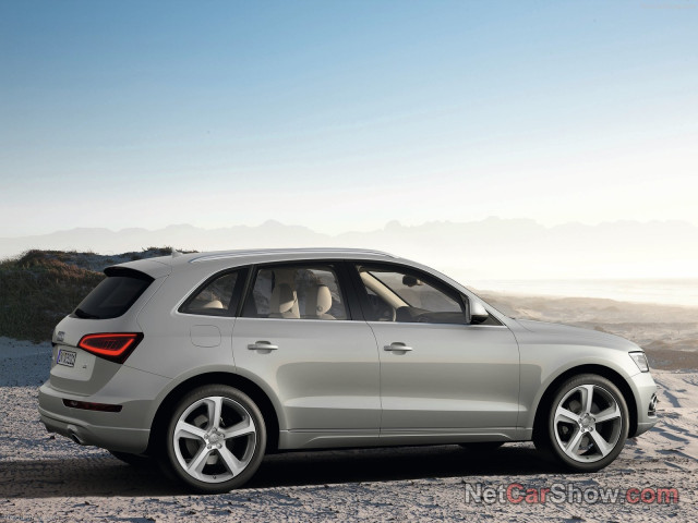 Audi Q5 фото
