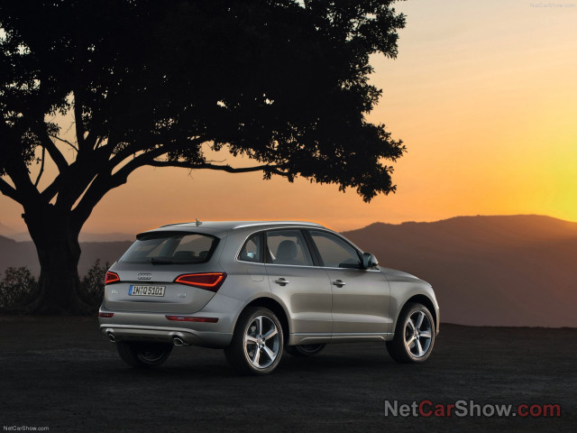 Audi Q5 фото