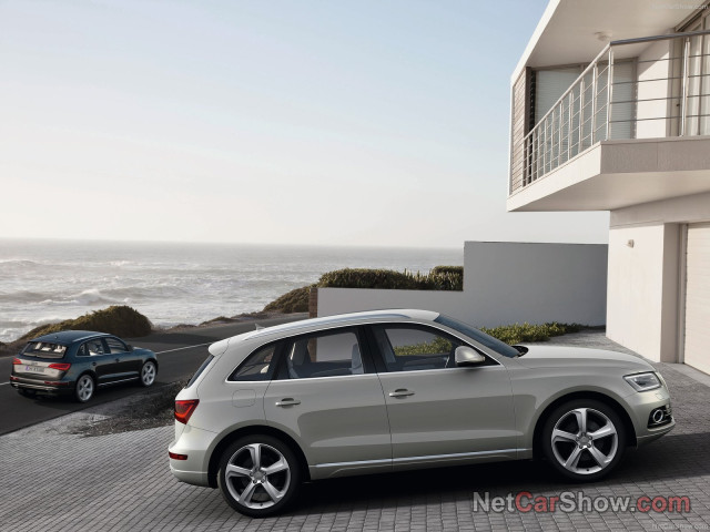 Audi Q5 фото