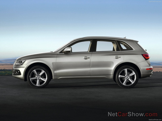 Audi Q5 фото
