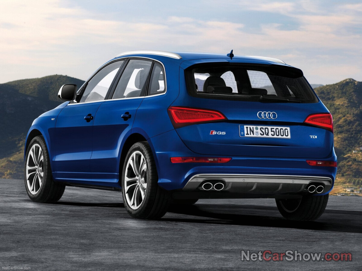 Audi Q5 I (8R) фото 96975