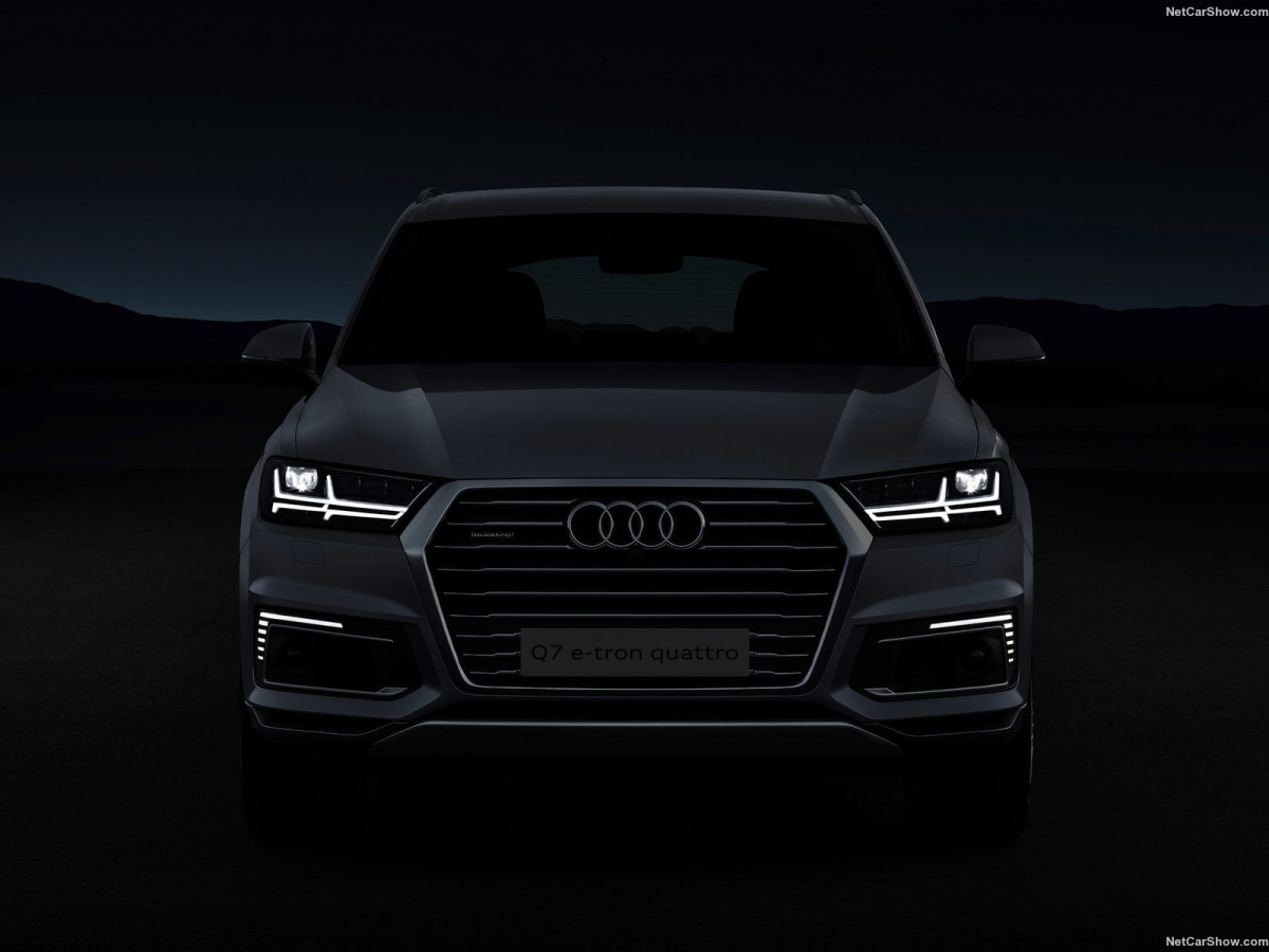 Audi Q7 e-tron фото 149688