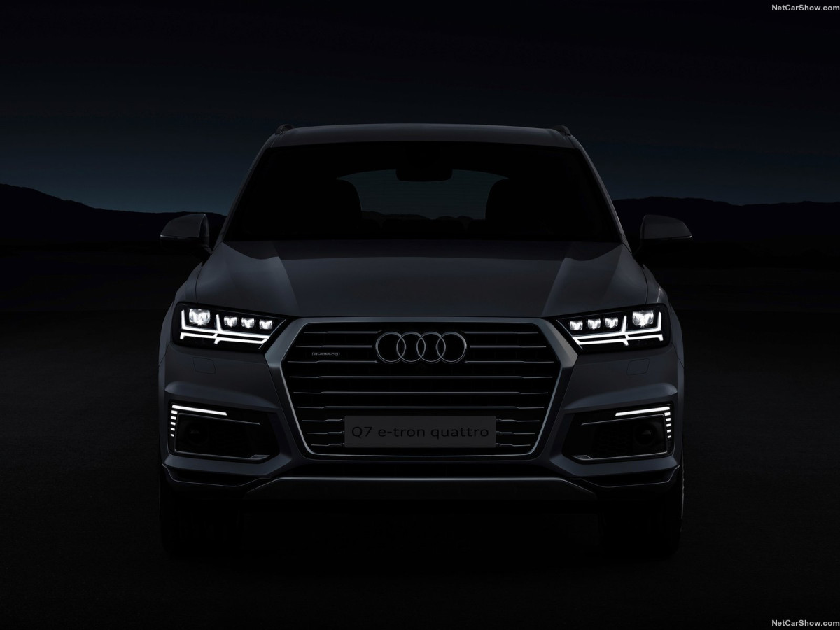 Audi Q7 e-tron фото 149689