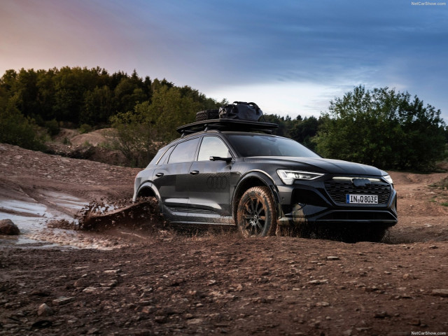 Audi Q8 e-tron фото