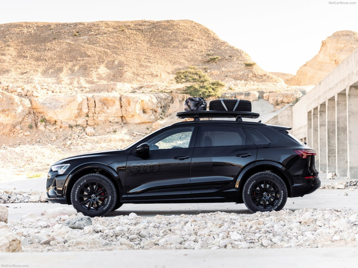 Audi Q8 e-tron фото 211723