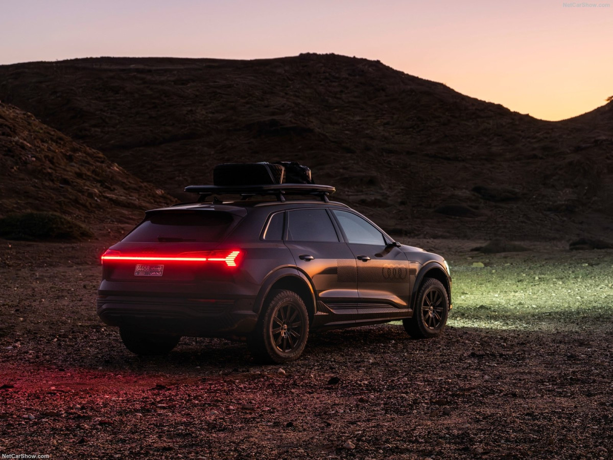 Audi Q8 e-tron фото 211725