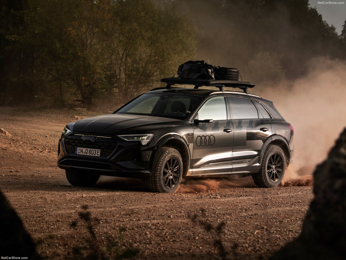 Audi Q8 e-tron фото 211730