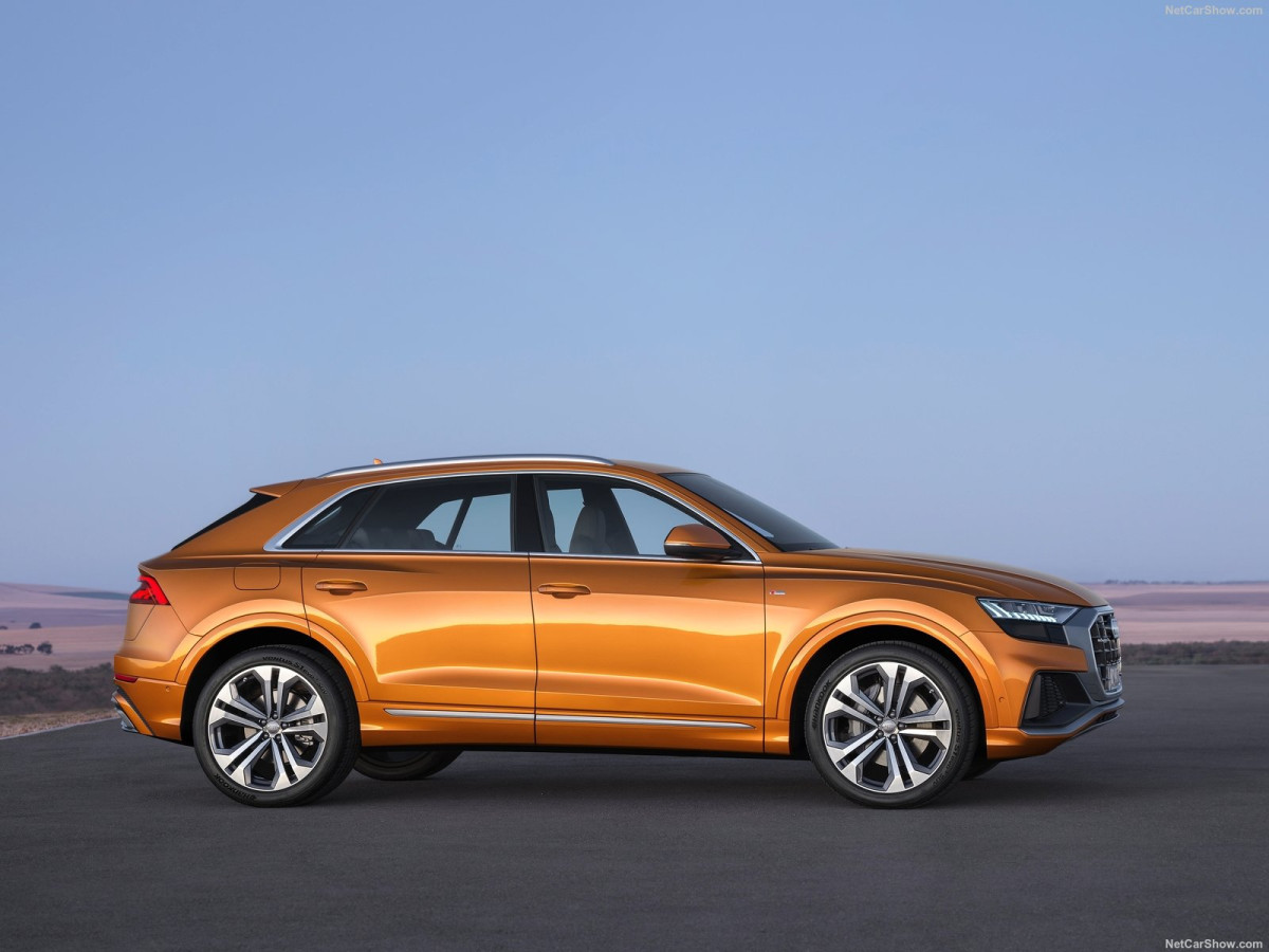 Audi Q8 фото 195682