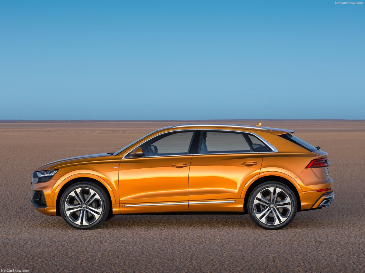 Audi Q8 фото 195684