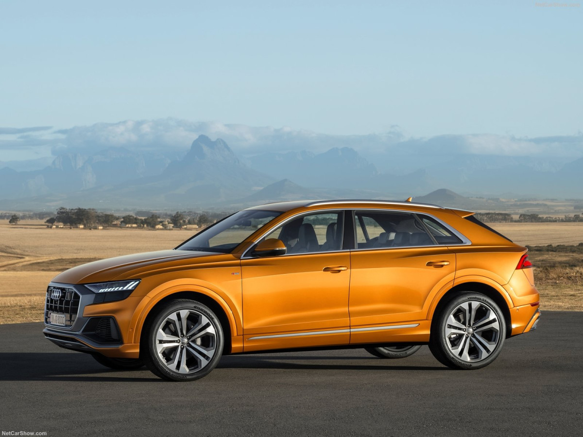 Audi Q8 фото 195686