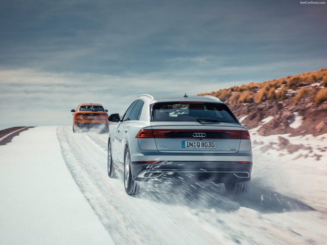 Audi Q8 фото