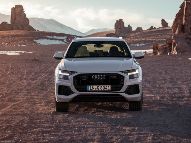 Audi Q8 фото