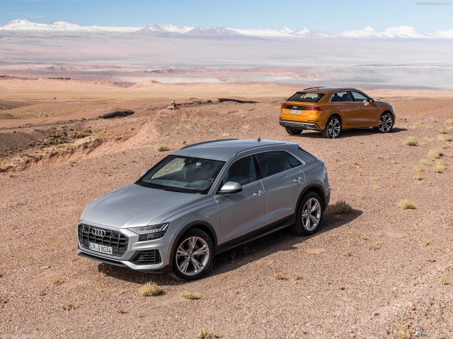 Audi Q8 фото