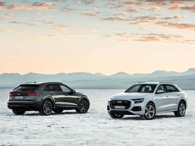 Audi Q8 фото