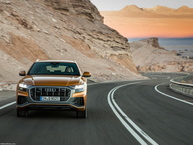 Audi Q8 фото