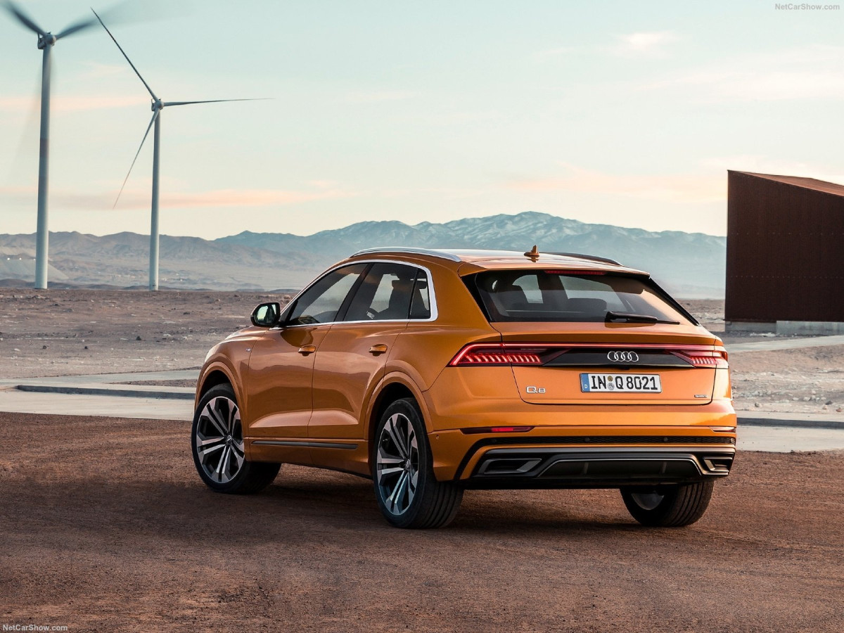 Audi Q8 фото 196579