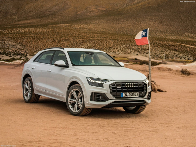 Audi Q8 фото