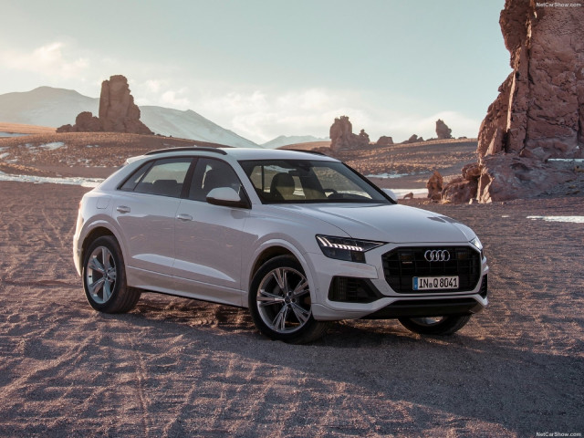 Audi Q8 фото