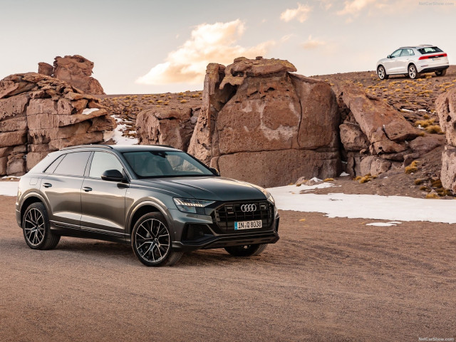 Audi Q8 фото