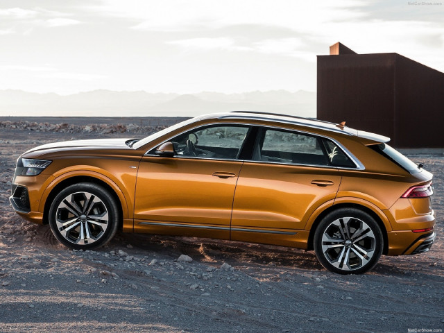 Audi Q8 фото