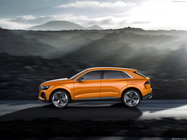 Audi Q8 фото