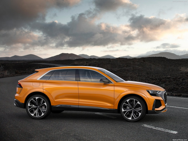 Audi Q8 фото