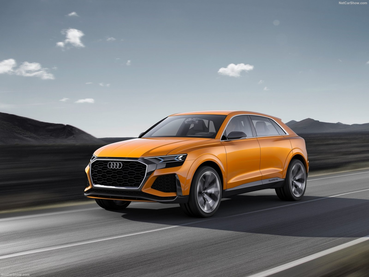 Audi Q8 фото 201798