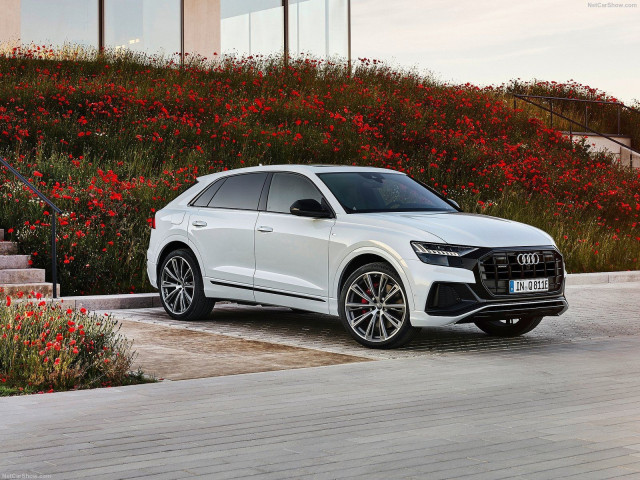 Audi Q8 фото